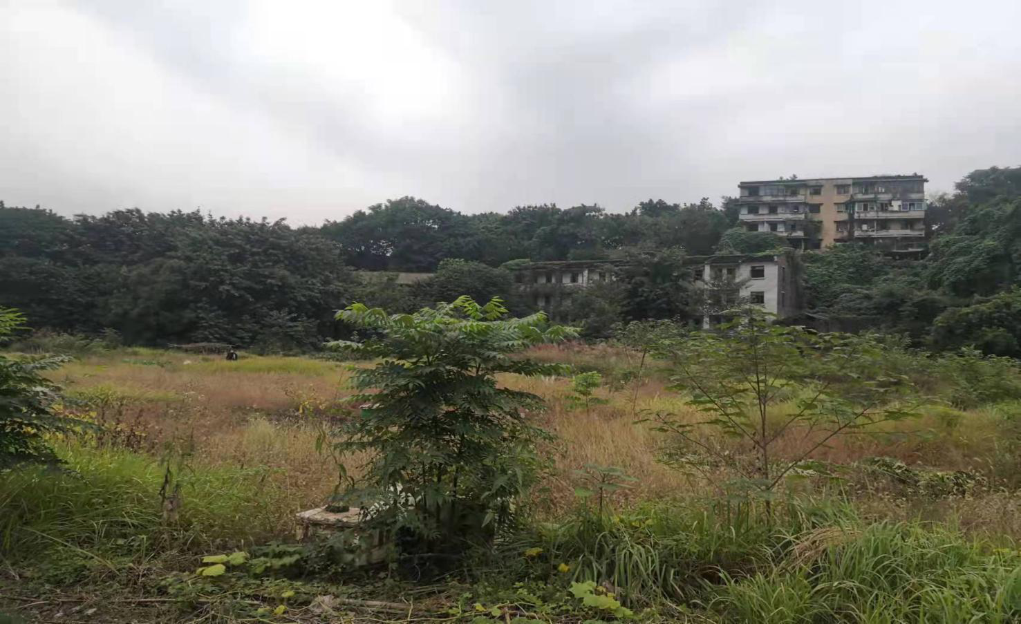 現場3.png